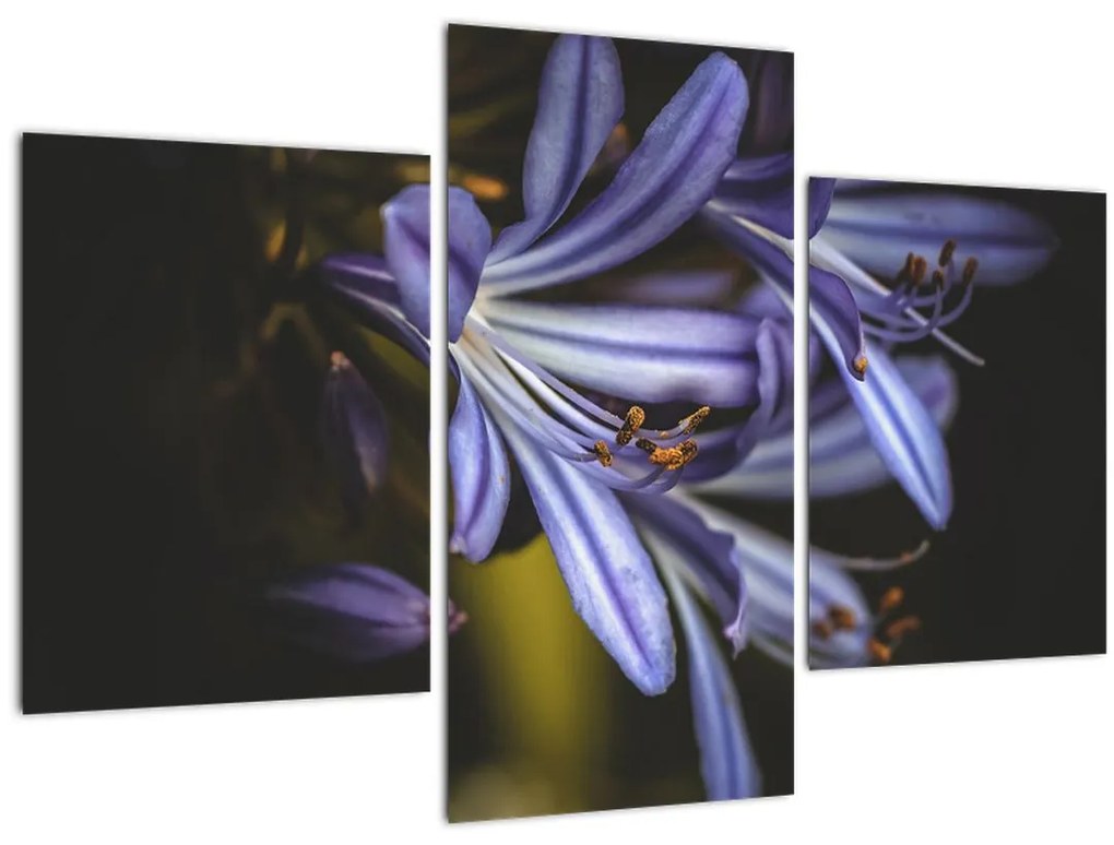 Tablou - Lila (90x60 cm)