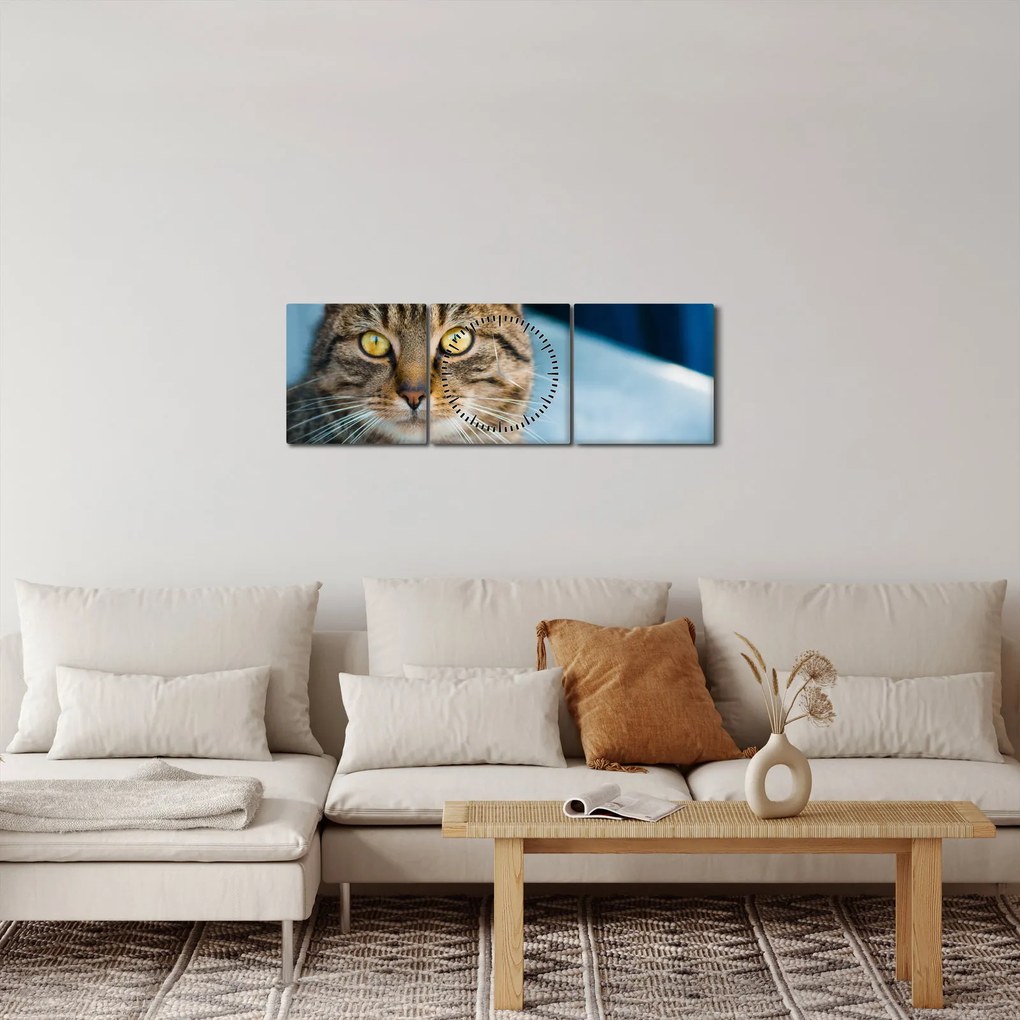 Tablou - Pisica domestică (cu ceas) (90x30 cm)