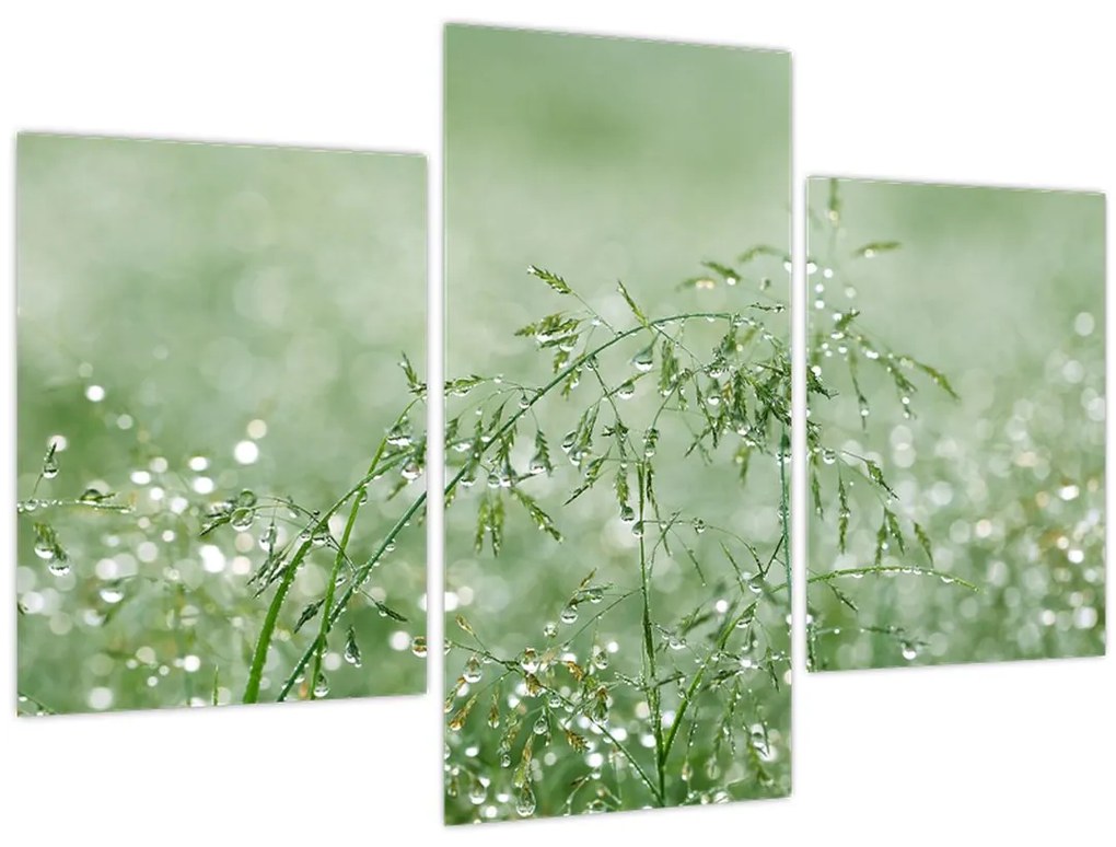 Tablou - Trandafir în iarbâ (90x60 cm)