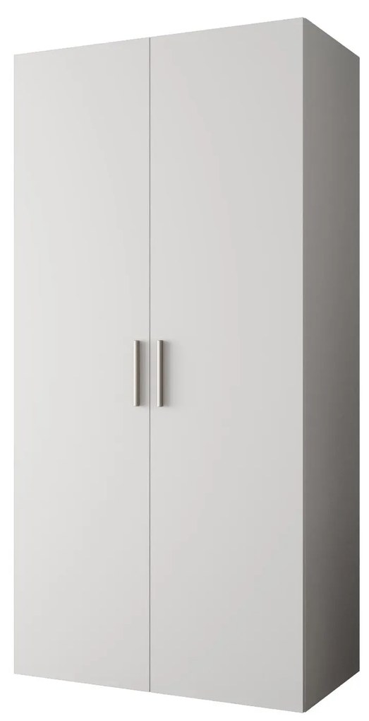 Dulap de haine 100 cm Borry 1 (alb + Argintiu). 1125748