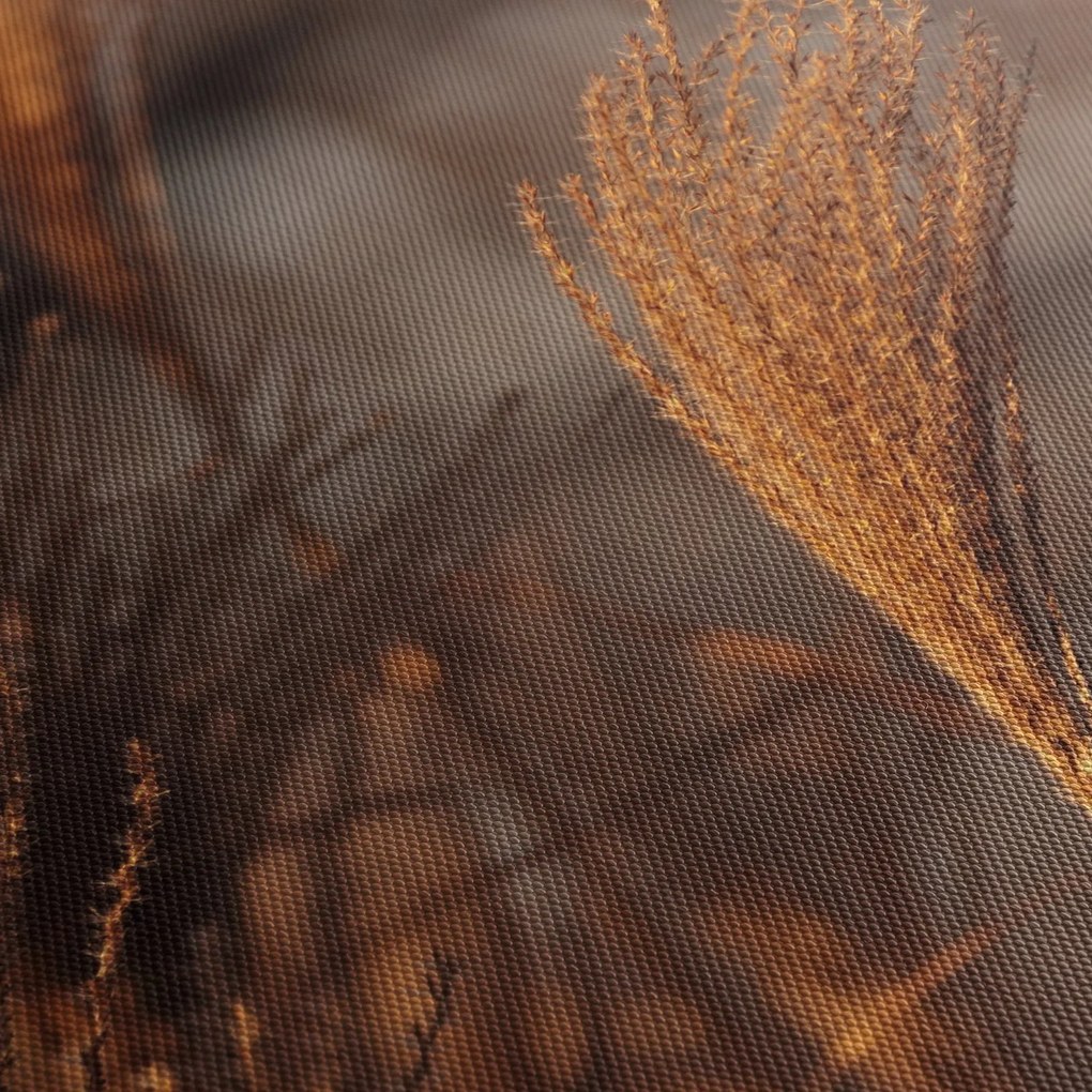 Tablou - Cortaderie (90x60 cm)