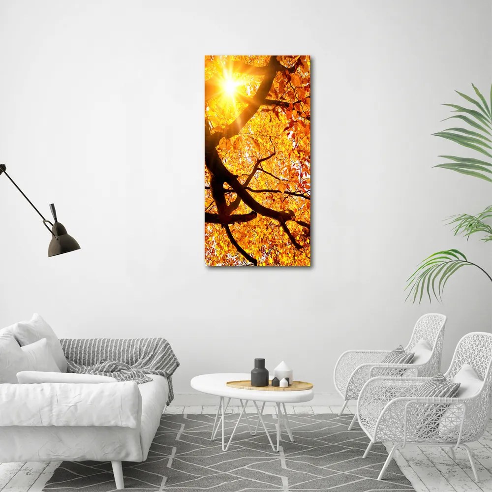 Imprimare tablou canvas Toamna copac