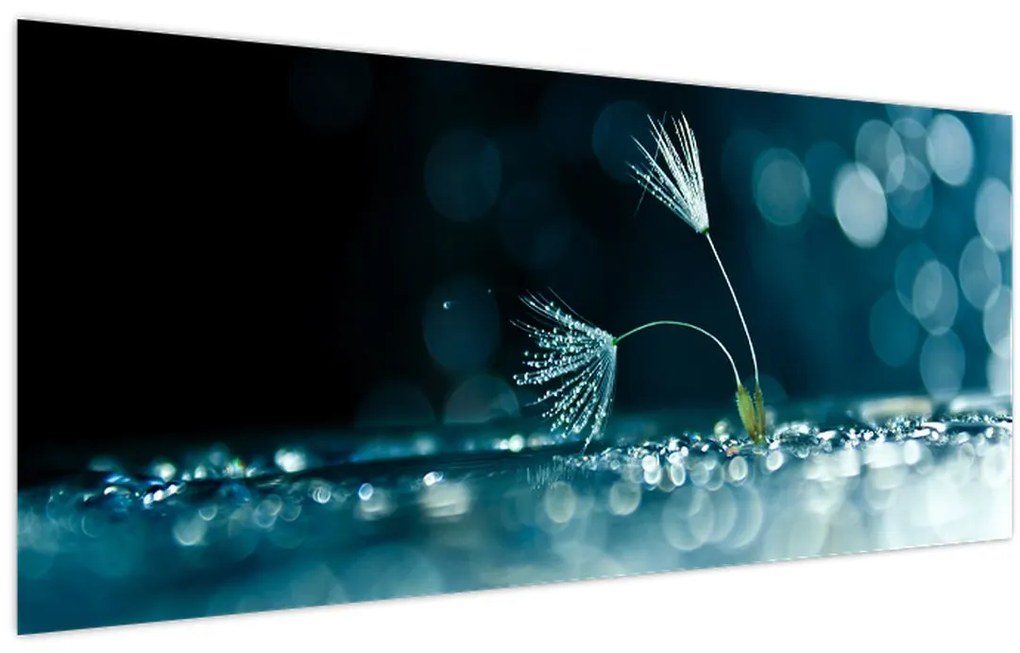 Tablou - Macro (120x50 cm)