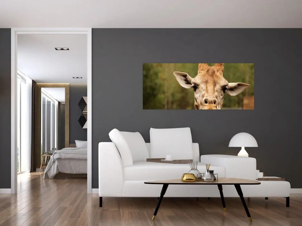 Tablou girafe (120x50 cm)