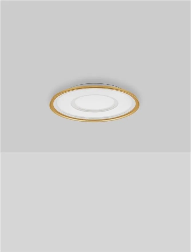 Plafoniera LED dimabila cu telecomanda FIGIN D-50cm