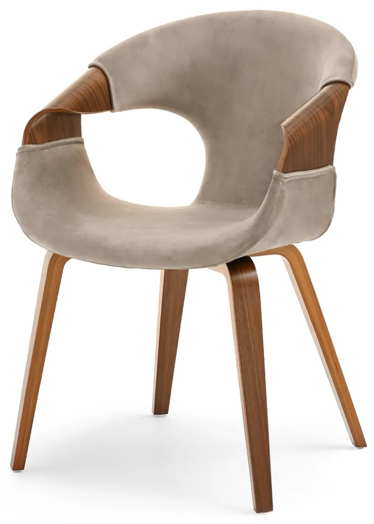Scaun Kurt (nuc). 1111099