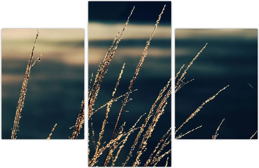 Tablou cu ierburi (90x60 cm)