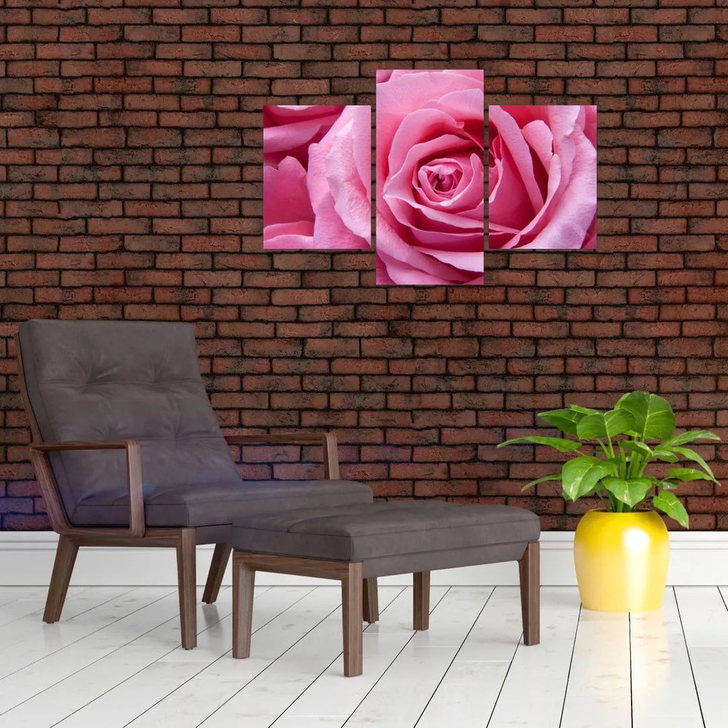 Tablou cu trandafir (90x60 cm)