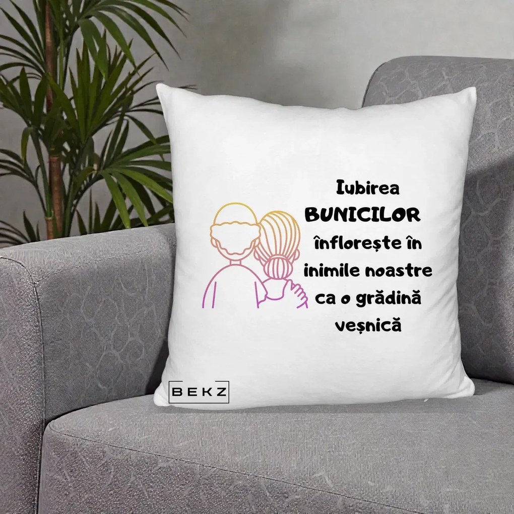 Cadou pentru Bunici - Perna Personalizata Iubirea Bunicilor Infloreste Cuplu Line Art Gradient, 40x40 cm, Alb Pufos, Husa Detasabila, Perna Inclusa, BEKZ®