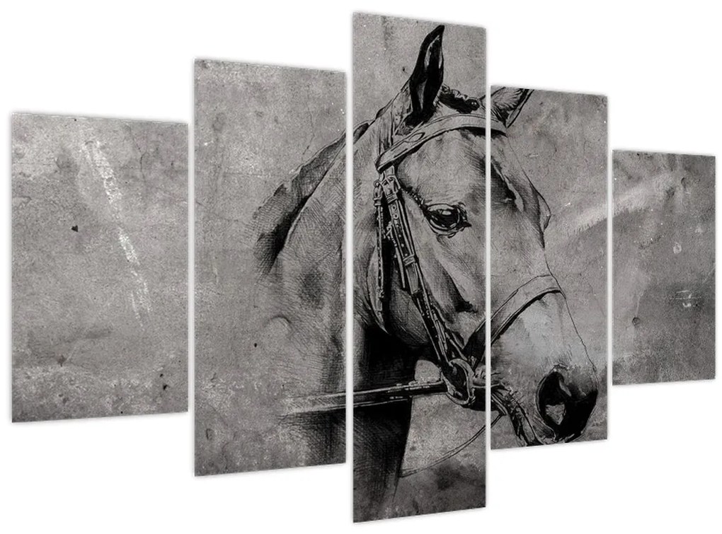 Tablou - Portret de cal (150x105 cm)