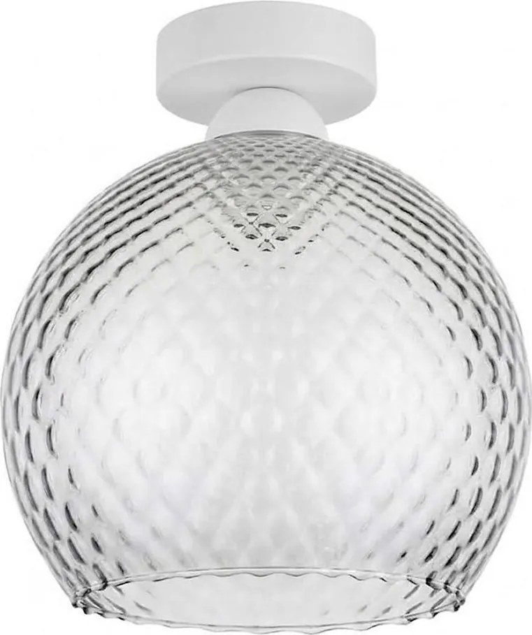 BRILAGI - Plafonieră LED R GLASS 1xE27/60W/230V Ø 25 cm alb/gri fumuriu