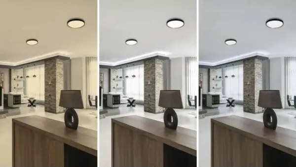 Plafonieră LED cu funcție de dimare ILVI LED/30W/230V 2700-6500K Ø 40 cm negru/bej + telecomandă