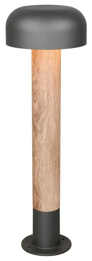 Corp de iluminat pentru exterior cu stâlp de fixare ø 19 cm Fraser – Trio