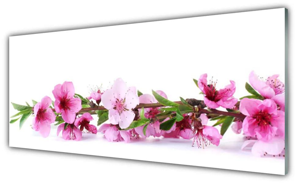 Tablou pe sticla Flori Floral Roz Verde