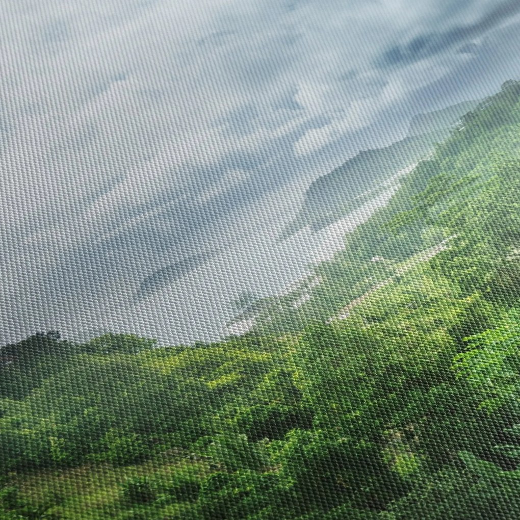 Tablou -Jungla din Seychelles (150x105 cm)