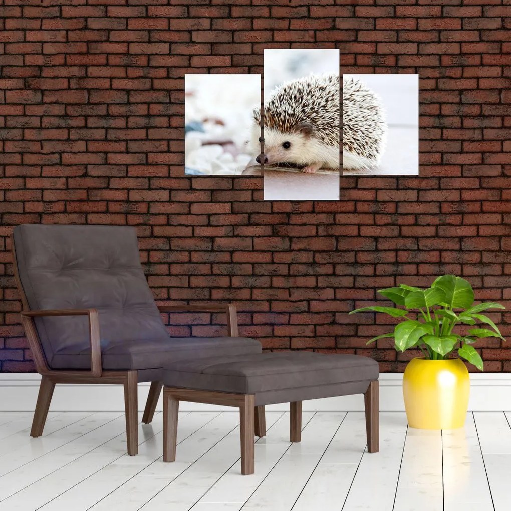 Tablou cu arici (90x60 cm)