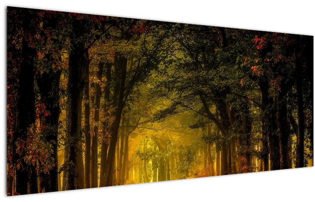 Tablou cu pădure (120x50 cm)
