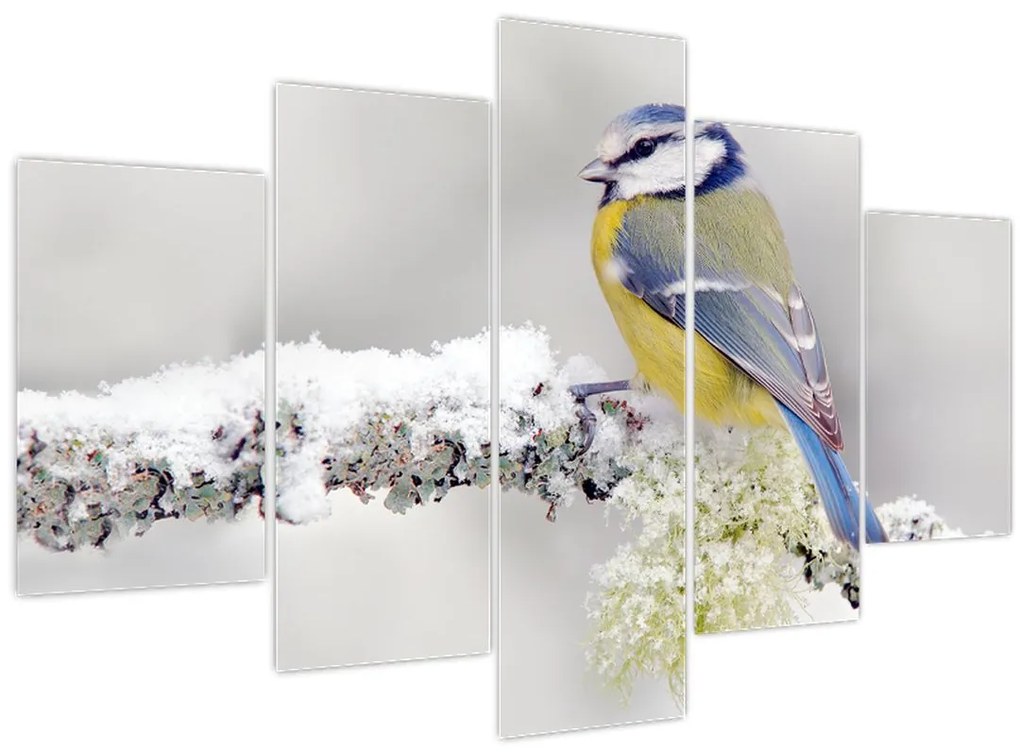 Tablou - Tit albastru în pădure (150x105 cm)