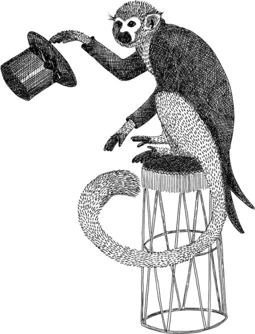 Fototapet, Circus Animal, Mr Monkey, Rebel Walls