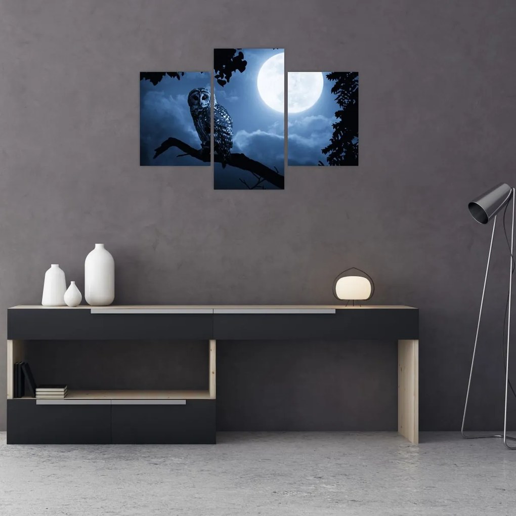 Tablou - Bufnița de noapte (90x60 cm)
