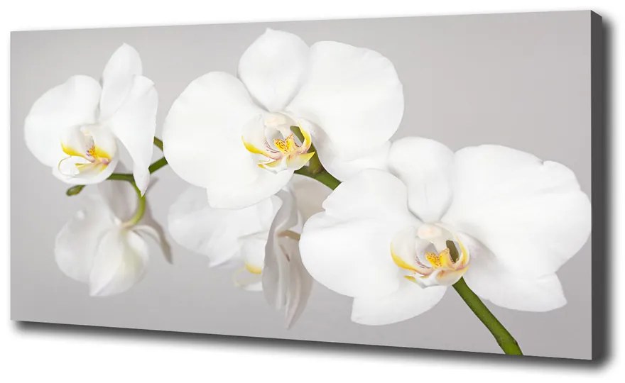 Tablou canvas Orhidee