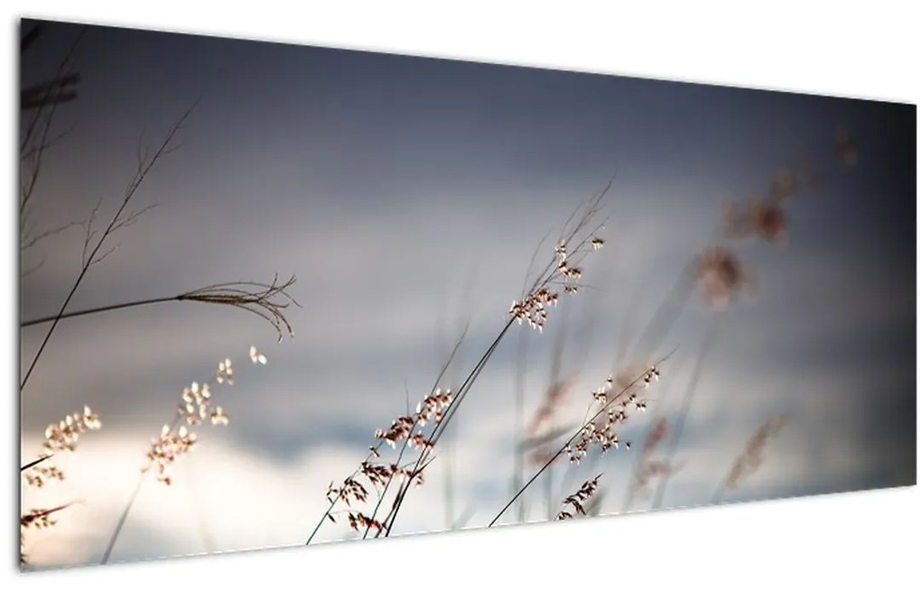 Tablou -Flori de luncă (120x50 cm)