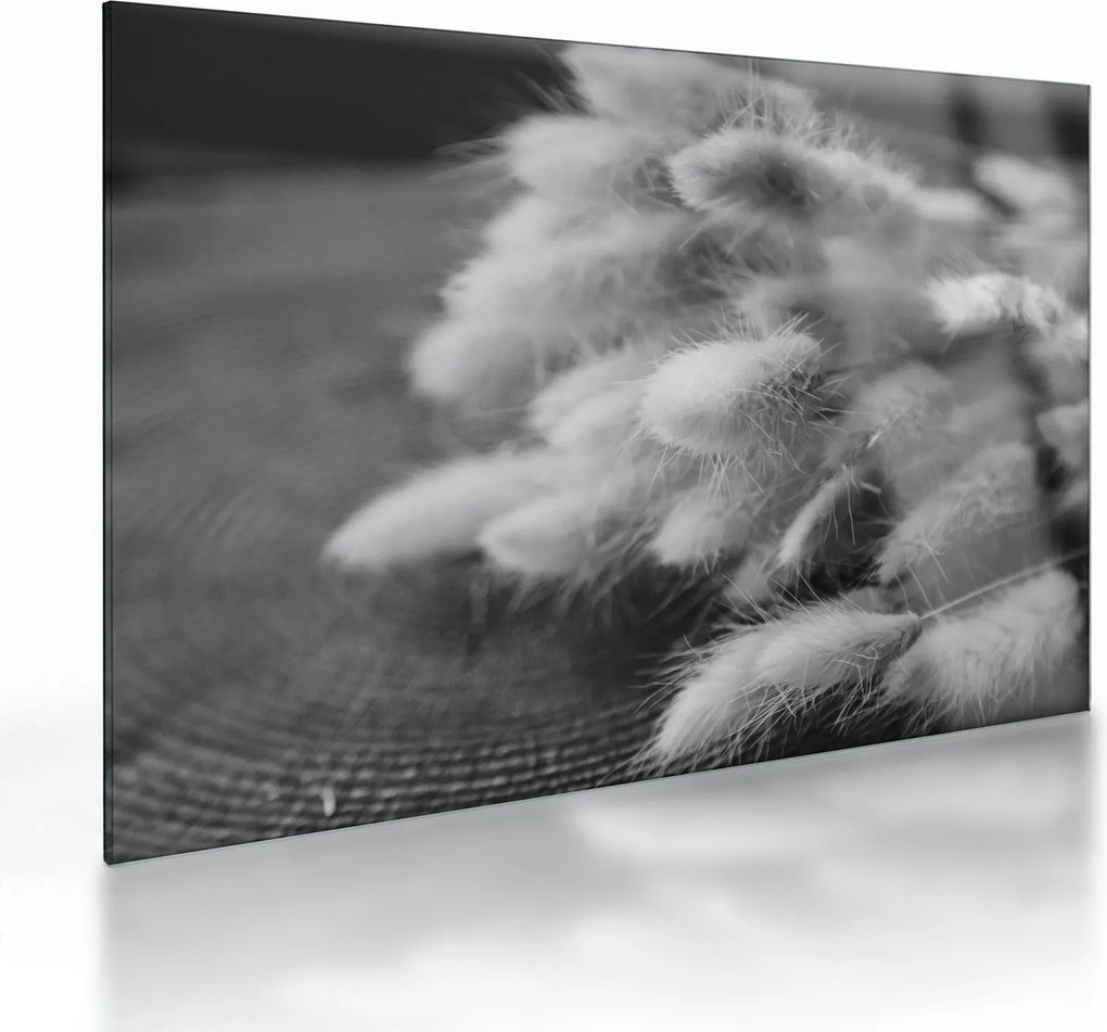Tablou pe sticlă - iarbă de coadă de iepure pe masă (70x50 cm)