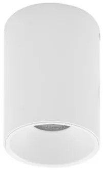 Spot aplicat tavan aluminiu NIDO alb