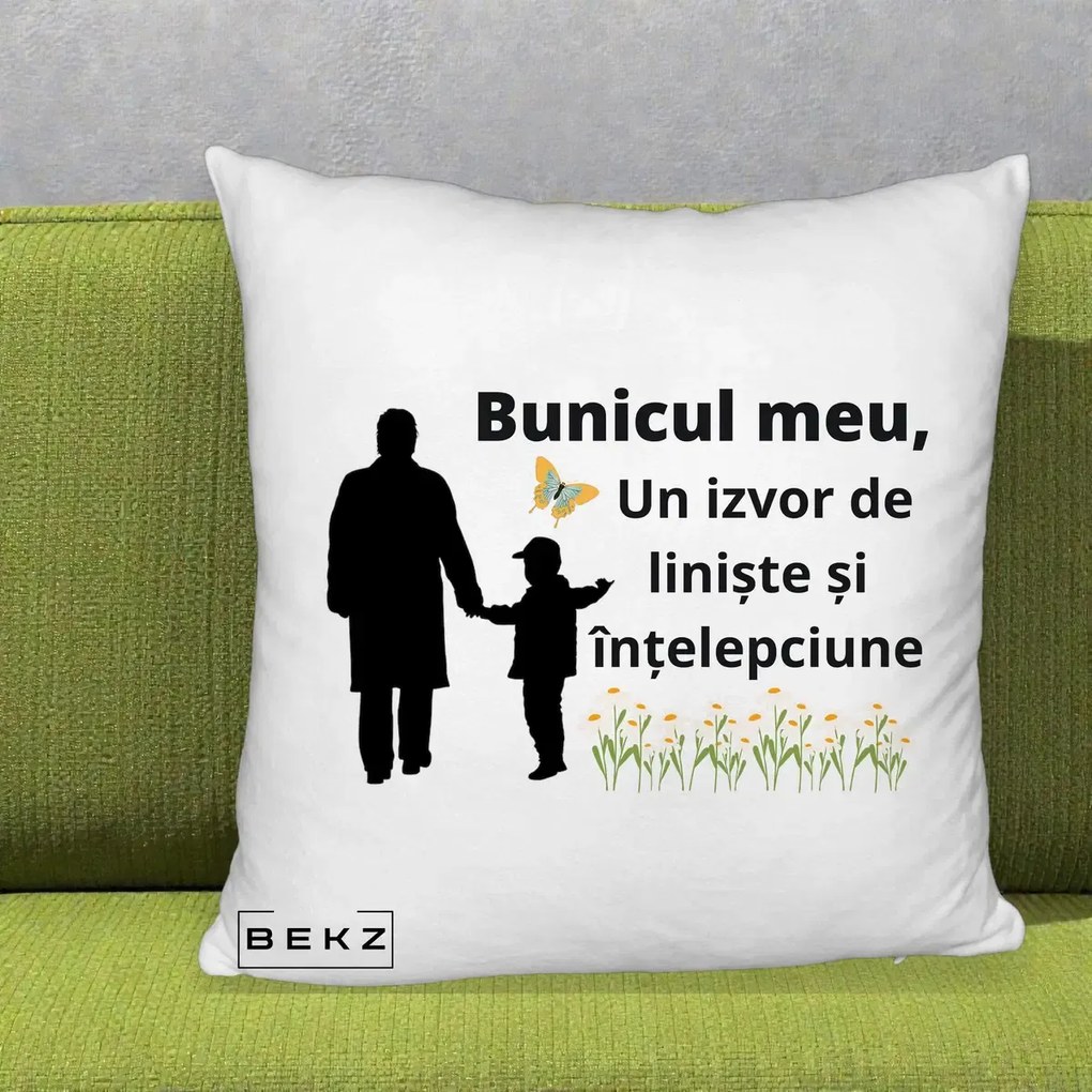 Cadou pentru Bunic - Perna Personalizata Bunicul Meu Izvor de Liniste cu Fluture si Baietel, 40x40 cm, Alb Pufos, Husa Detasabila, Perna Inclusa, BEKZ®