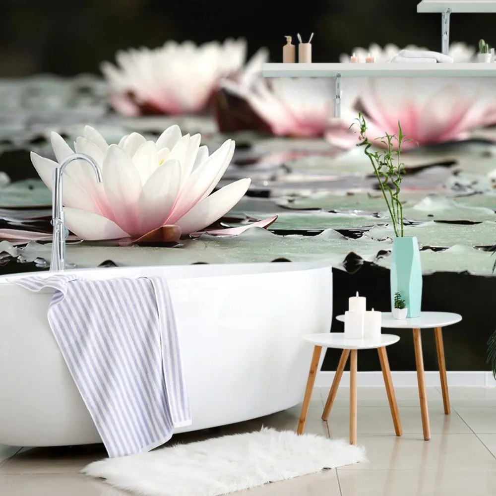Fototapet autoadeziv floare de lotus