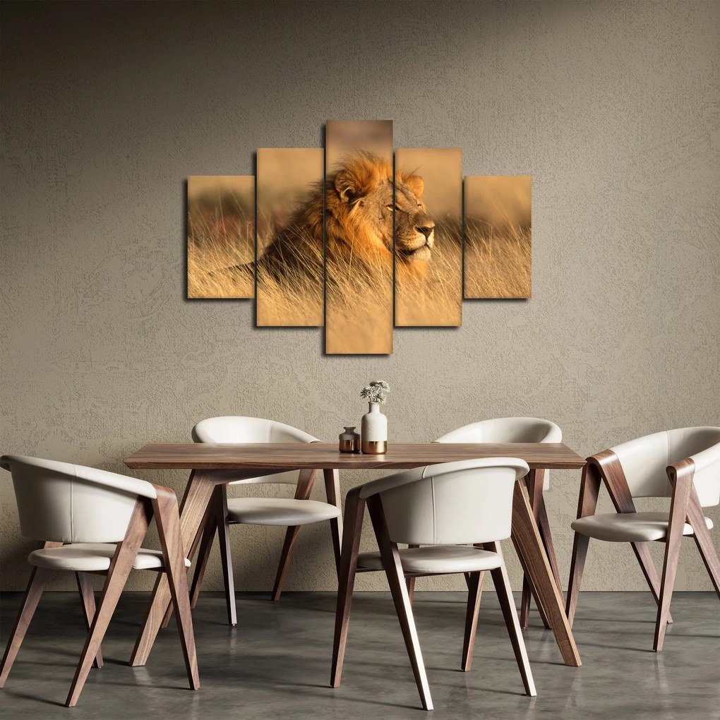 Tablou - Parcul Național Etosha (150x105 cm)