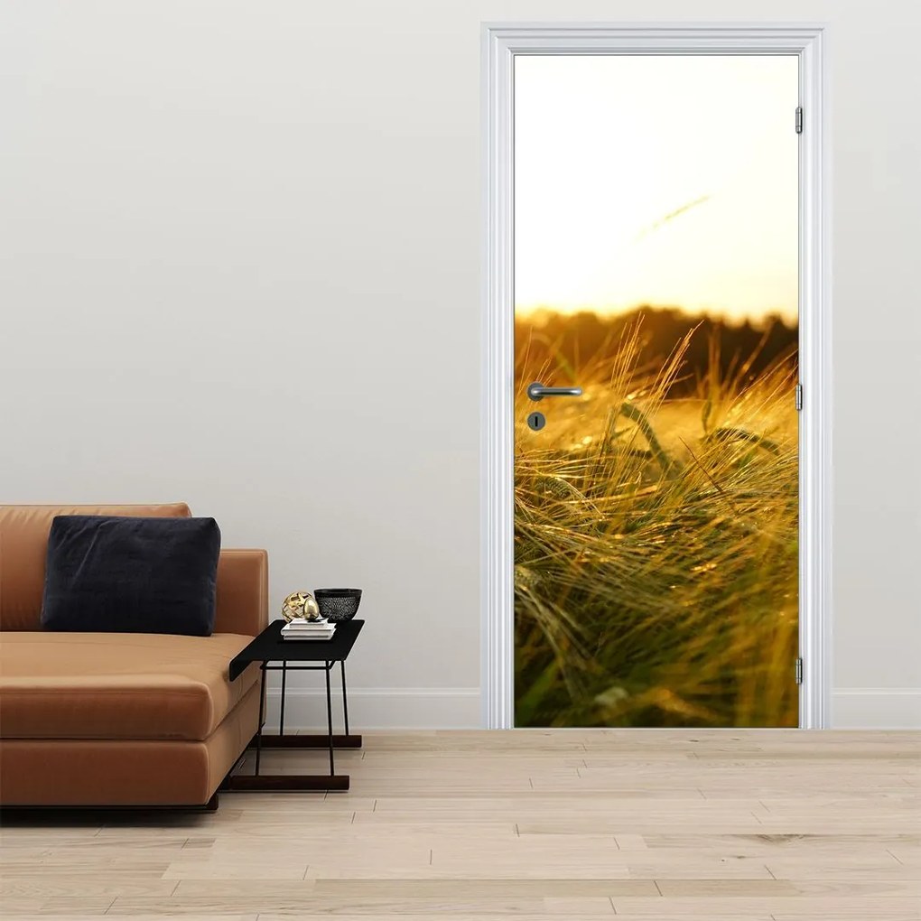 Fototapet pentru ușă - Iarba cu rouă (95x205cm)