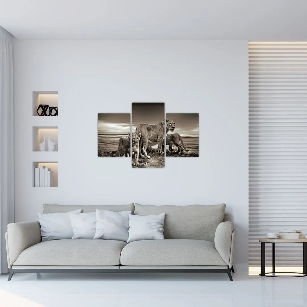 Tablou cu leii alb negri (90x60 cm)