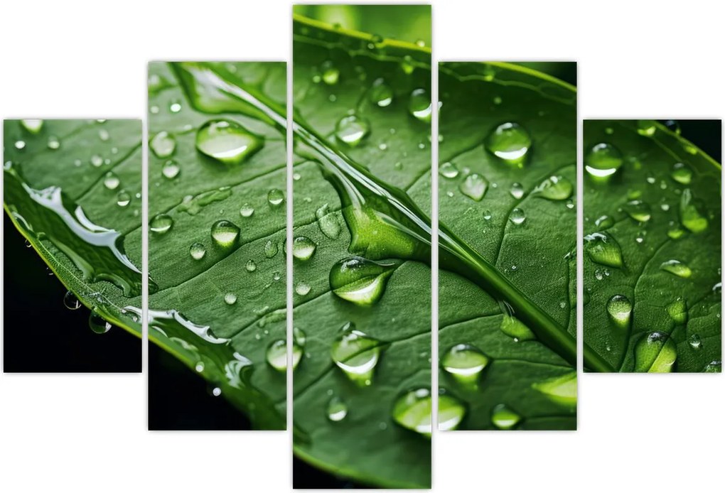 Tablou - Frunză după ploaie (150x105 cm)