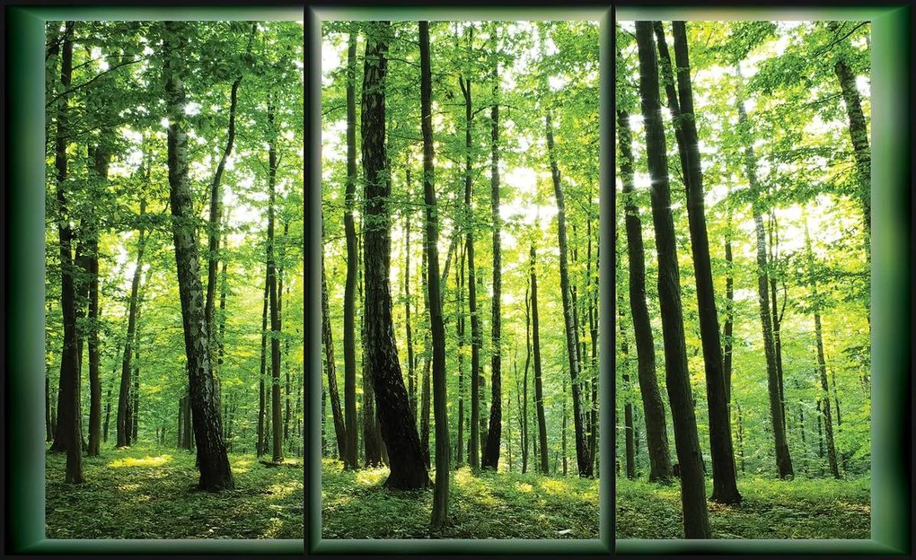 Fototapet - Pădure (254x184 cm)