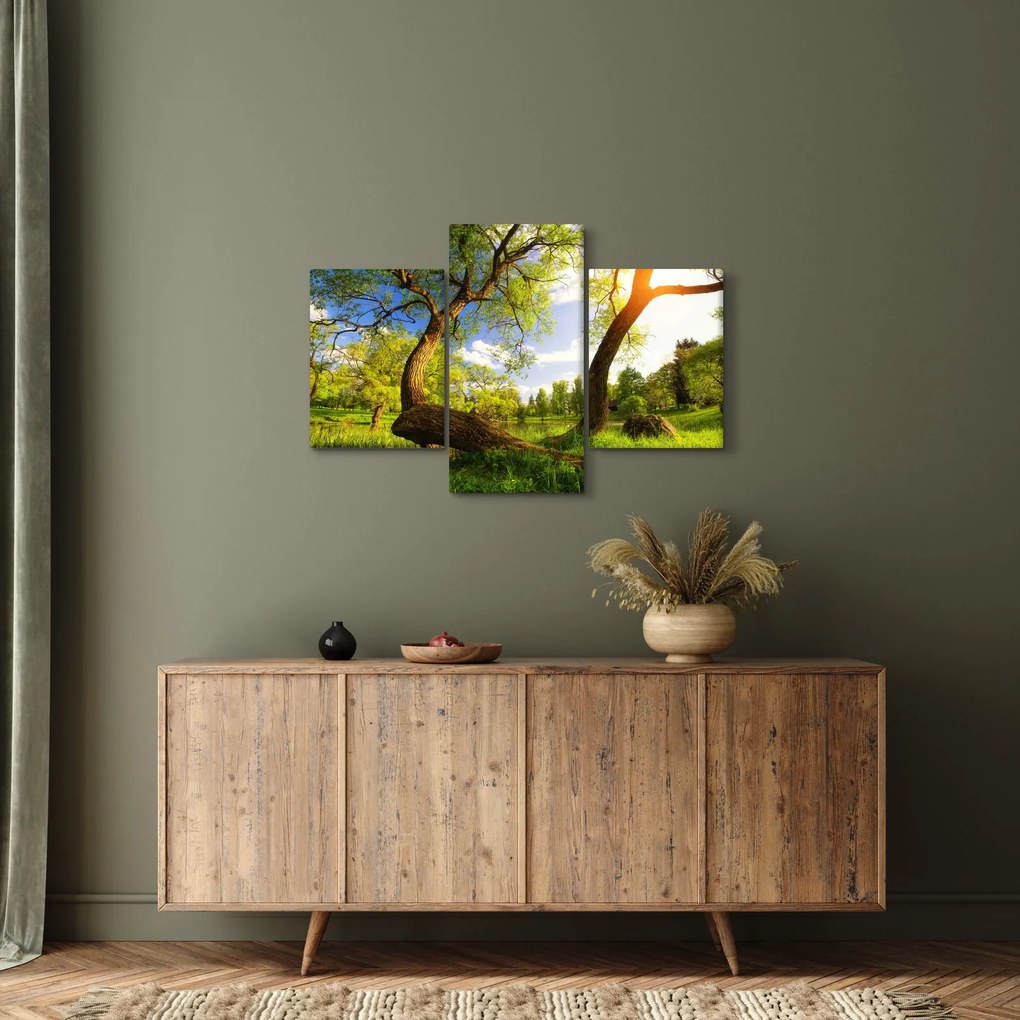 Tablou lunca ne primăvară (90x60 cm)