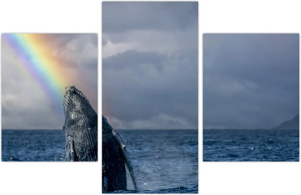 Tablou - Cocoșatul (90x60 cm)