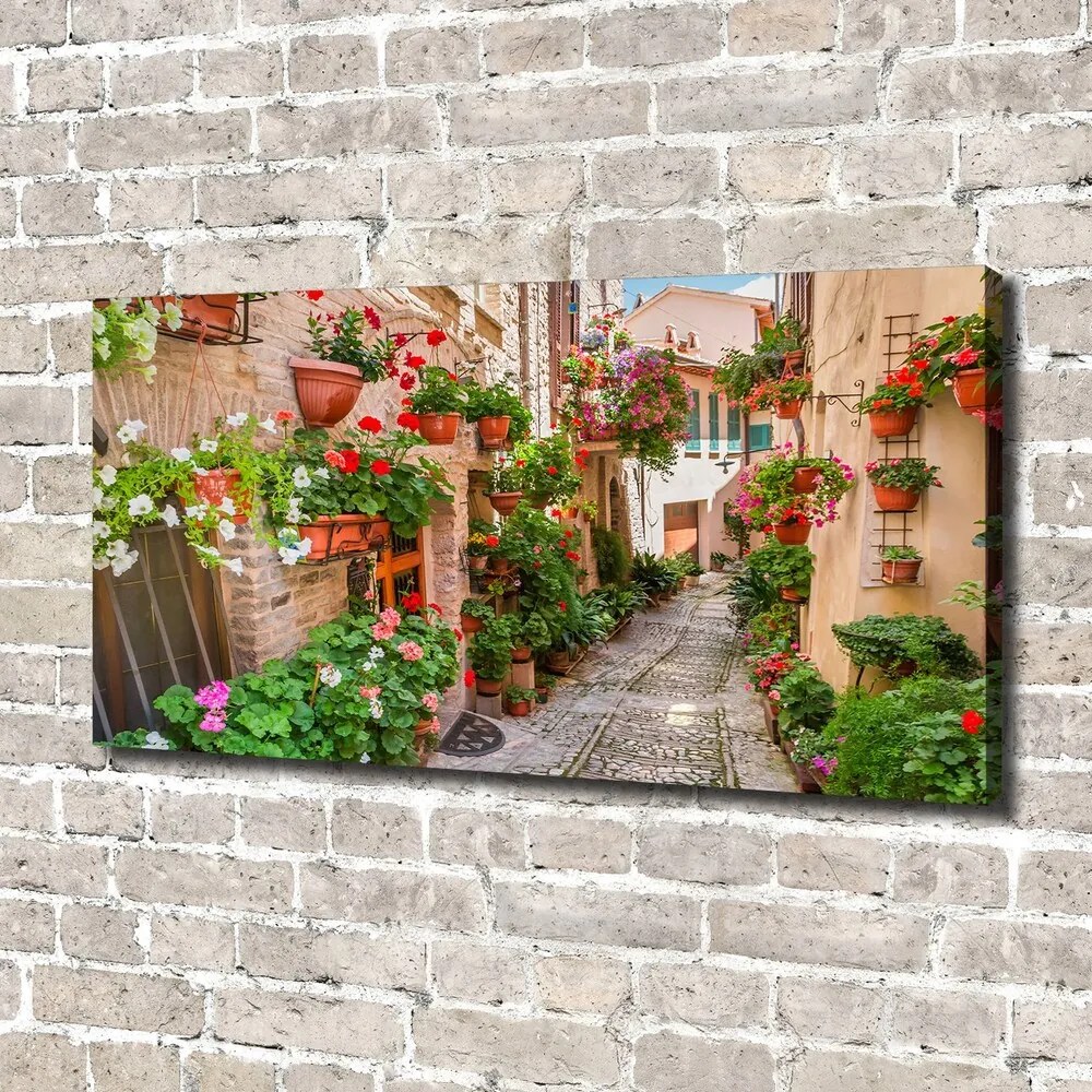 Tablouri tipărite pe pânză Străzile italiene