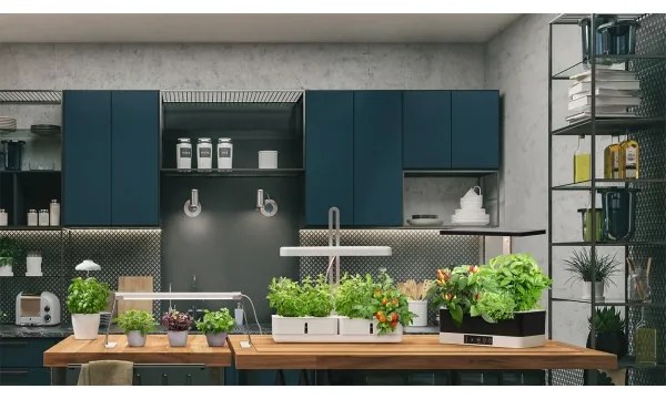 Ledvance - Lampă LED interioră pentru plante GARDEN KIT LED/24W/230V