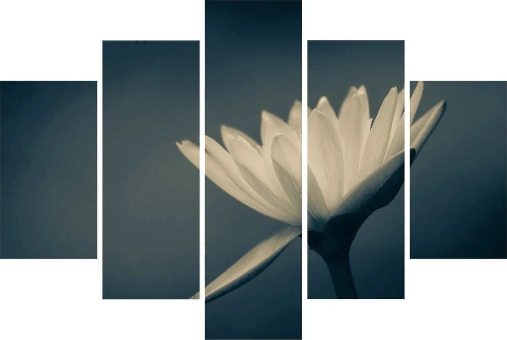 Tablou cu flori (150x105 cm)