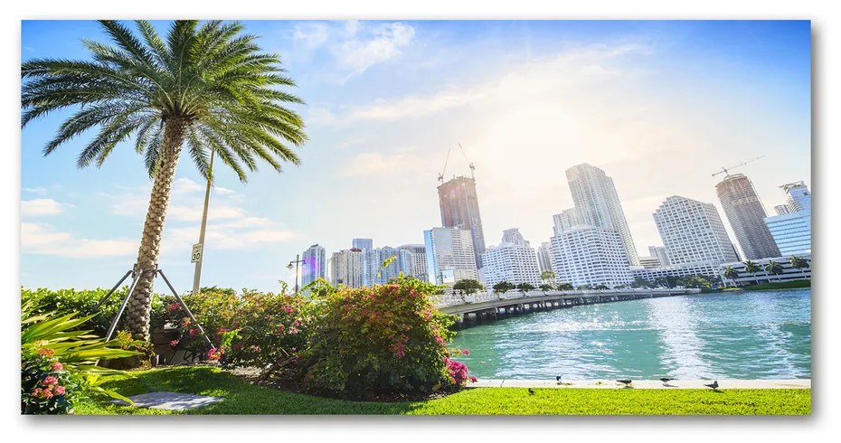 Tablou acrilic Miami statele unite ale americii