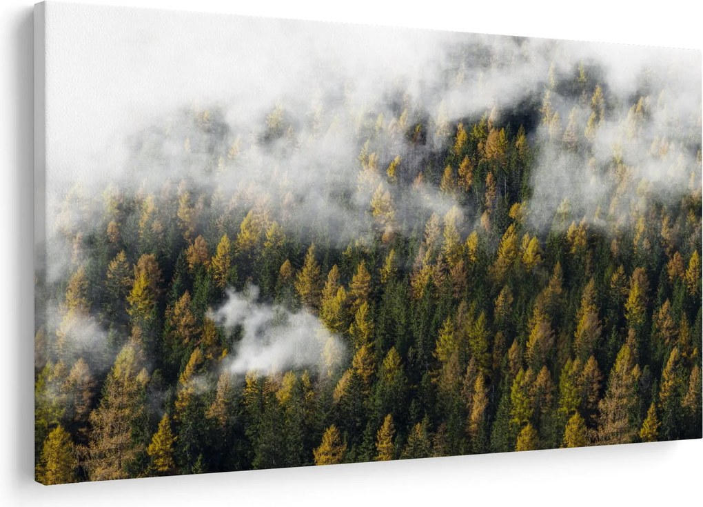 Tablou - Pădure în nori (90x60 cm)