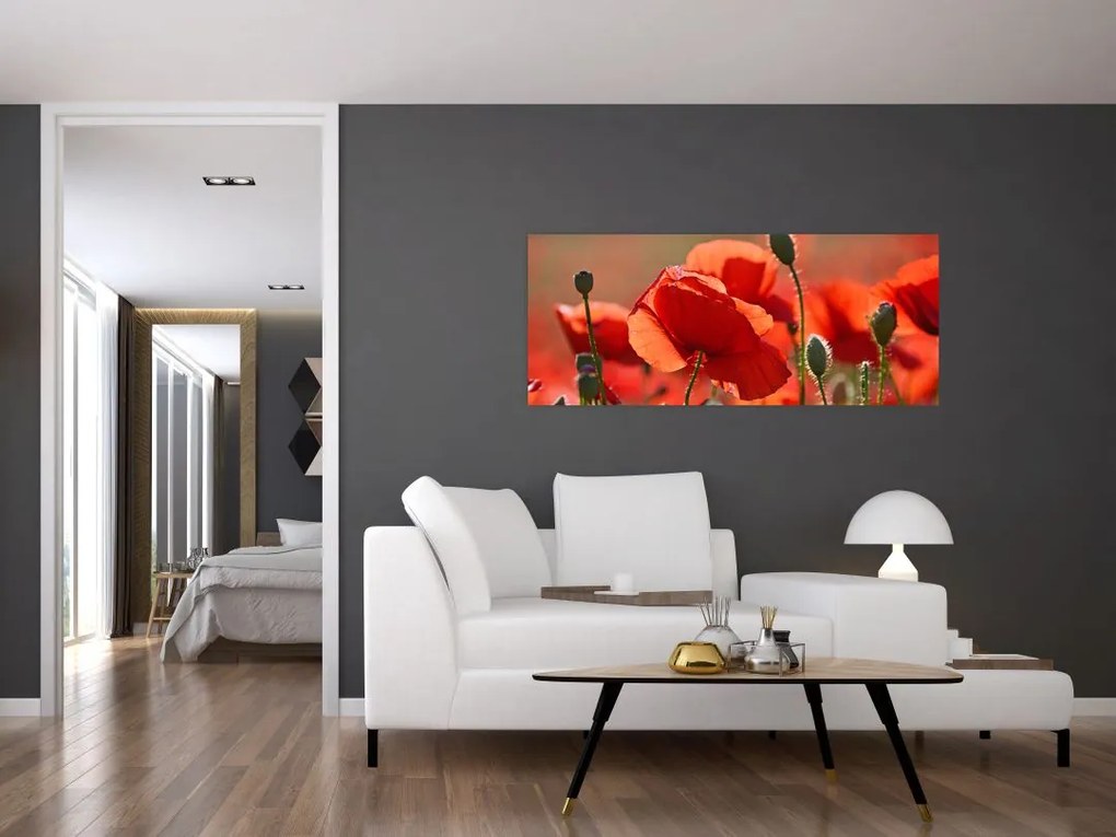 Tablou cu flori de maci (120x50 cm)