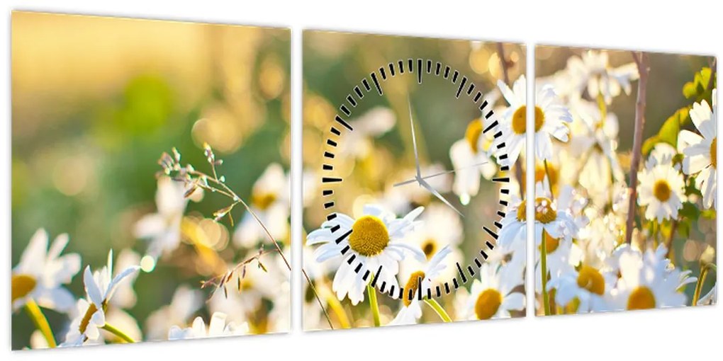 Tablou - Margarete (cu ceas) (90x30 cm)