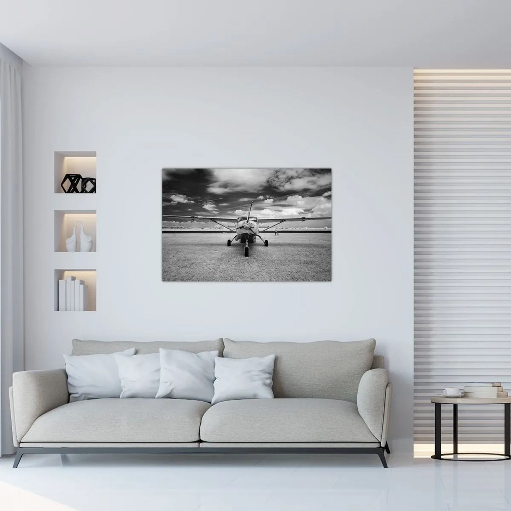 Tablou - Avion alb-negru și alb-negru (90x60 cm)