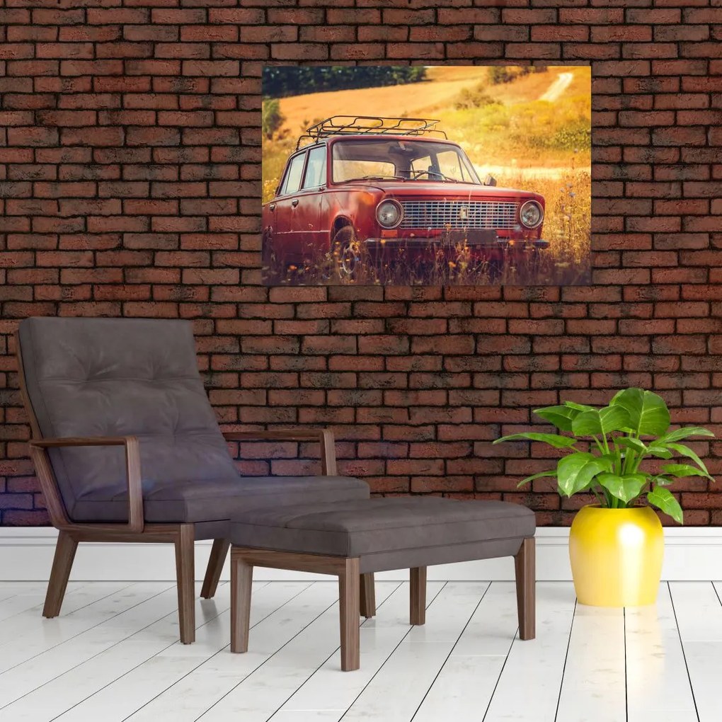 Tablou cu mașină în câmp (90x60 cm)