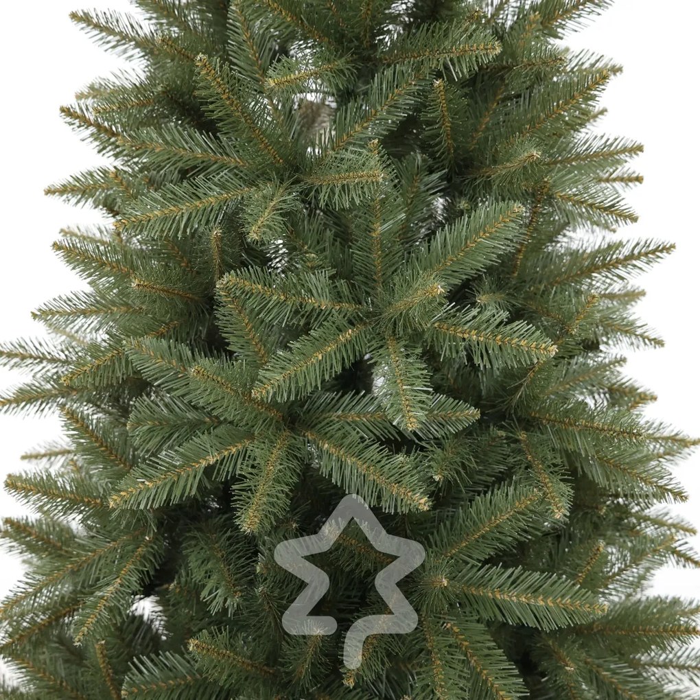 Molid Caucazian 2D 210 cm