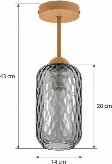 BRILAGI - LED Lustra aplicată R GLASS 1xE27/60W/230V Ø 14 cm bej/gri fumuriu