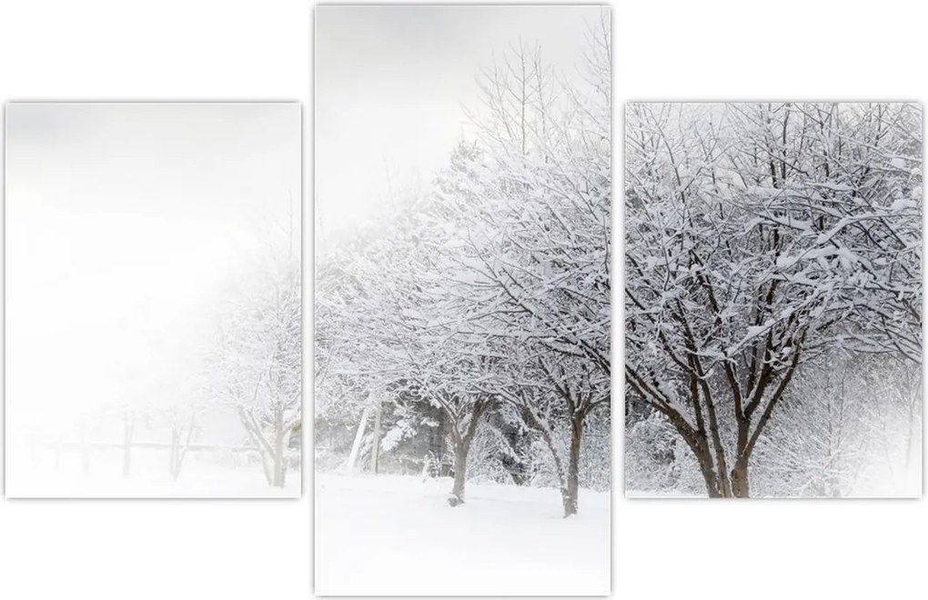 Tablou - Aleea de iarnă (90x60 cm)