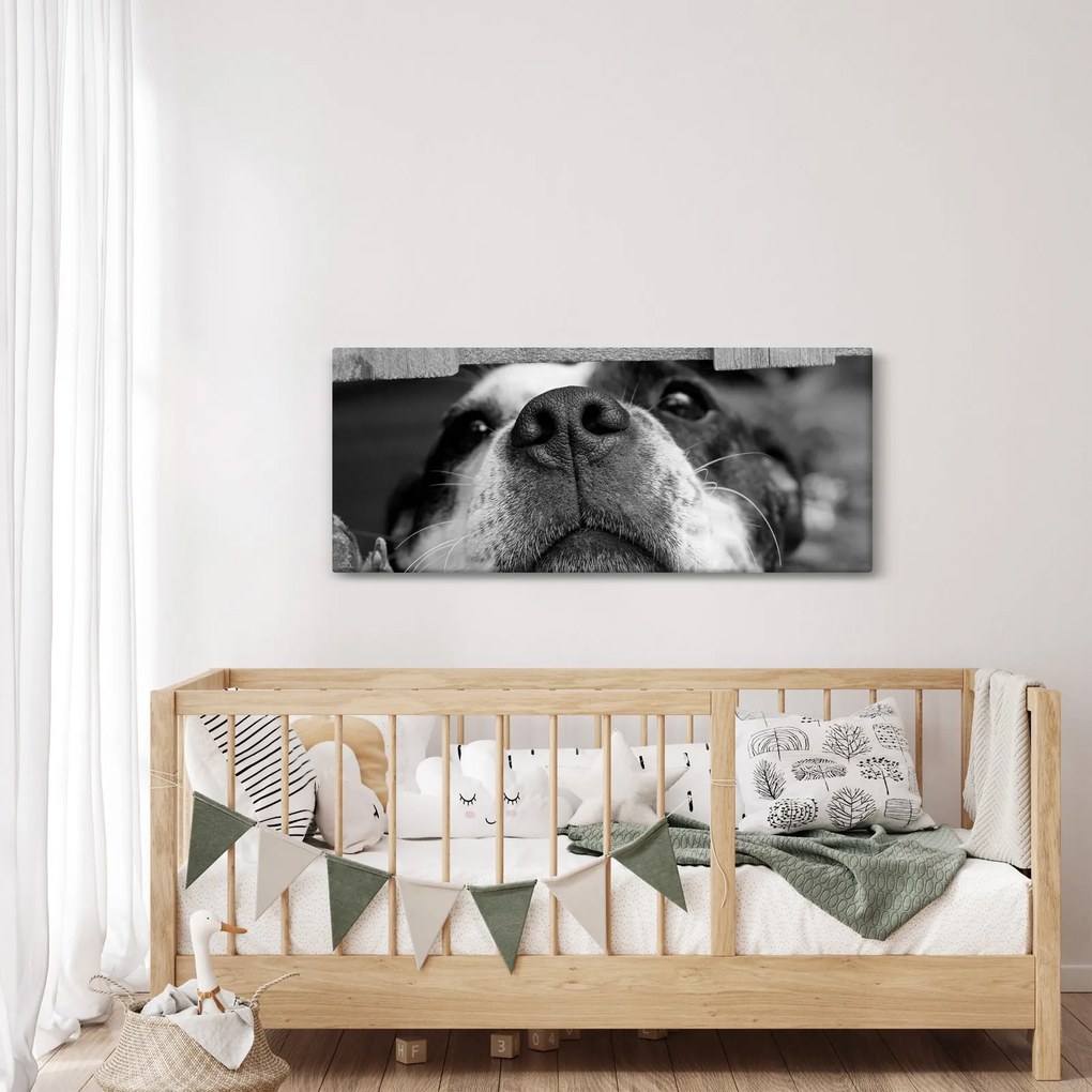 Tablou cu câine (120x50 cm)